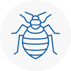 Bed Bug Extermination In Newcastle Upon Tyne